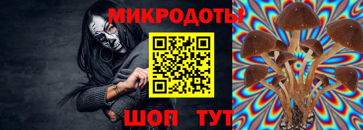 Псилоцибиновые грибы ЛСД  Вход с VPN  Кушва 